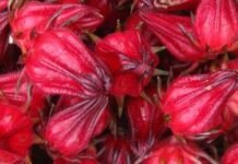 Hibiscus Fetches Nigeria $35 m in 9 Months