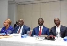 Peterside Flays Attempts to Create More Maritime Agencies