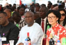 Nigerian Teachers to Replace Chinese Teachers