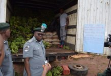 NCS Steps Up Anti-Smuggling Campaign in Zone C