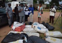 NCS Intercepts More Contraband in Zone C