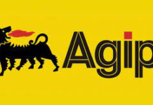 Why Twon-Brass Kingdom Moved Against NAOC