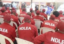 NDLEA Recruitment: See Full List of Shortlisted Candidates