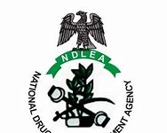 60 in the Net Over Drug Use in Abuja