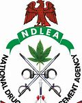 NDLEA Intercepts Illegal Drugs Heading to Europe