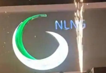 NLNG Boss Gives Reasons for New Logo