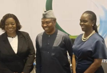 It’s Official, Sofia Horsfall is NLNG New External Relations Manager