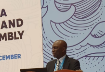 Mobereola: Africa’s Maritime Sector Requires Innovative Financing