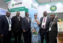 The Thrills and Frills of the 13th Practical Nigerian Content Forum