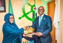 Tanzania Backs Nigeria’s Bid for IMO Council Category C