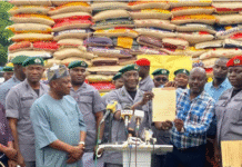 NCS, FOU ZONE A Seizes ₦1.19 bn Worth of Contraband