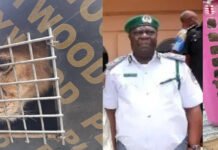NCS, Seme Area Command Intercepts Endangered Species