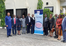 Anishere Seeks Support as She Kicks Off as MAAN President