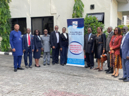 Anishere Seeks Support as She Kicks Off as MAAN President