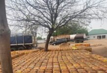 Operation Whirlwind Makes Strides in Adamawa