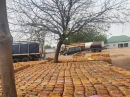 Operation Whirlwind Makes Strides in Adamawa