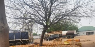 Operation Whirlwind Makes Strides in Adamawa