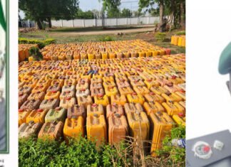 NCS Operation Whirlwind Exploits in Kwara