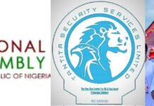 Pipeline Contract: National Assembly Passes Vote of Confidence on TSSNL