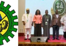 Ogbe Highlights Stakes in HCDTs, Thumbs Up Industry Partners on Feats