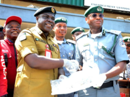 NCS, NDLEA Join Forces Intercept 9,450 Packages of Canadian Loud Worth N18.9bn at Tin Can Island Port