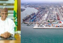 It’s Official. Tin Can, Apapa Ports Among Global Top 20 Most Improved Ports