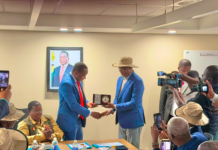 Beitbridge Mission: Nigeria, Benin, Cameroon Customs Join Forces for Regional Border Modernization