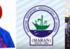 Usman to Deliver Keynote Address as Enisuoh Chairs MARAN Annual Maritime Lecture