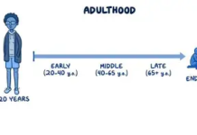 Adulthood