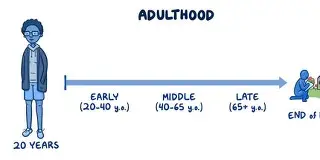 Adulthood